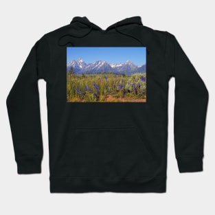 Summer came to Grand Teton Hoodie